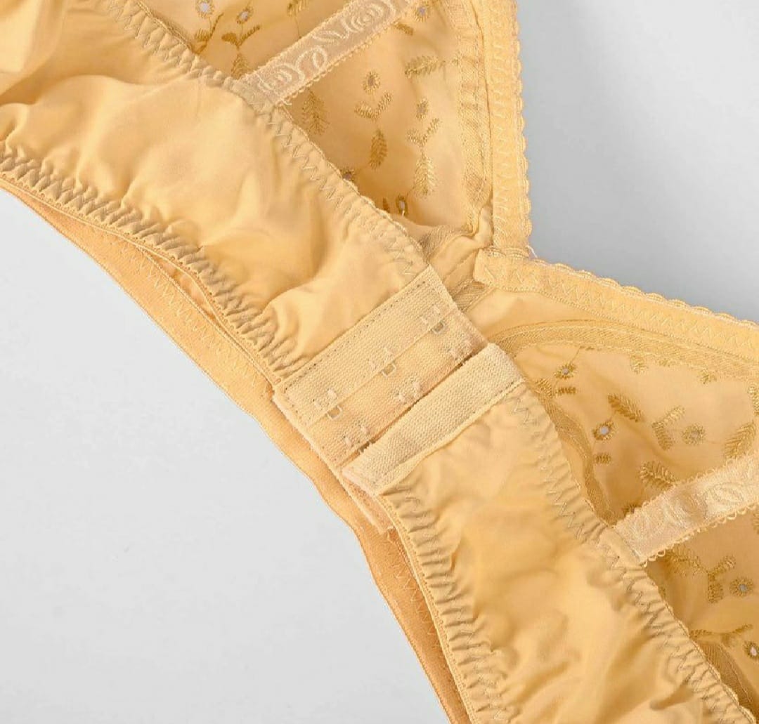 PACK OF 2 IMPORTED EBRIODERY STRETCHABLE COTTON BRA FOR SUMMER